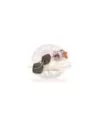 Jeu cylindre et clé serrure porte droite Terrain Tamer