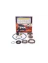 Kit révision différentiel Terrain Tamer avec blocage OE