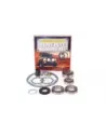 Kit rénovation différentiel avant Terrain Tamer DK4HP