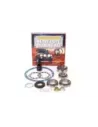 Kit révision différentiel Terrain Tamer DK4SHP