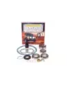 Kit révision différentiel Terrain Tamer DK4SHP