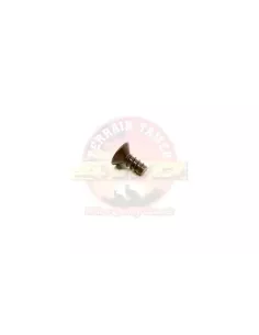 Vis pivot avant vitre 1/4 Terrain Tamer