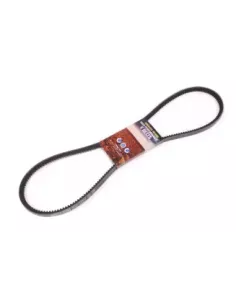 Courroie Climatisation Terrain Tamer 99332-11300TT 2
