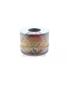 Filtre à air Terrain Tamer A1397