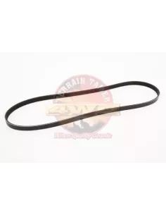 Courroie de direction assistée Terrain Tamer 99364-81070A