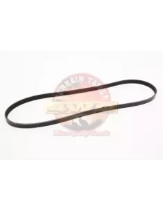 Courroie de direction assistée Terrain Tamer 99364-81070A 2
