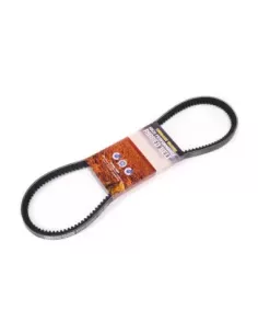 Courroie de climatisation Terrain Tamer 99332-60910TT 2