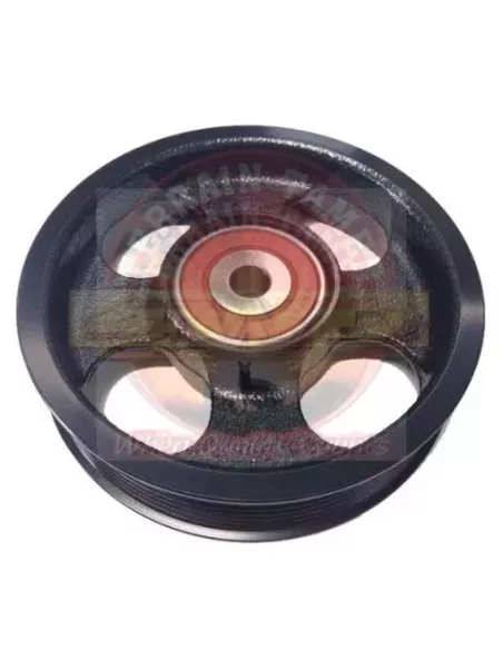 Galet tendeur Terrain Tamer 16603-28020