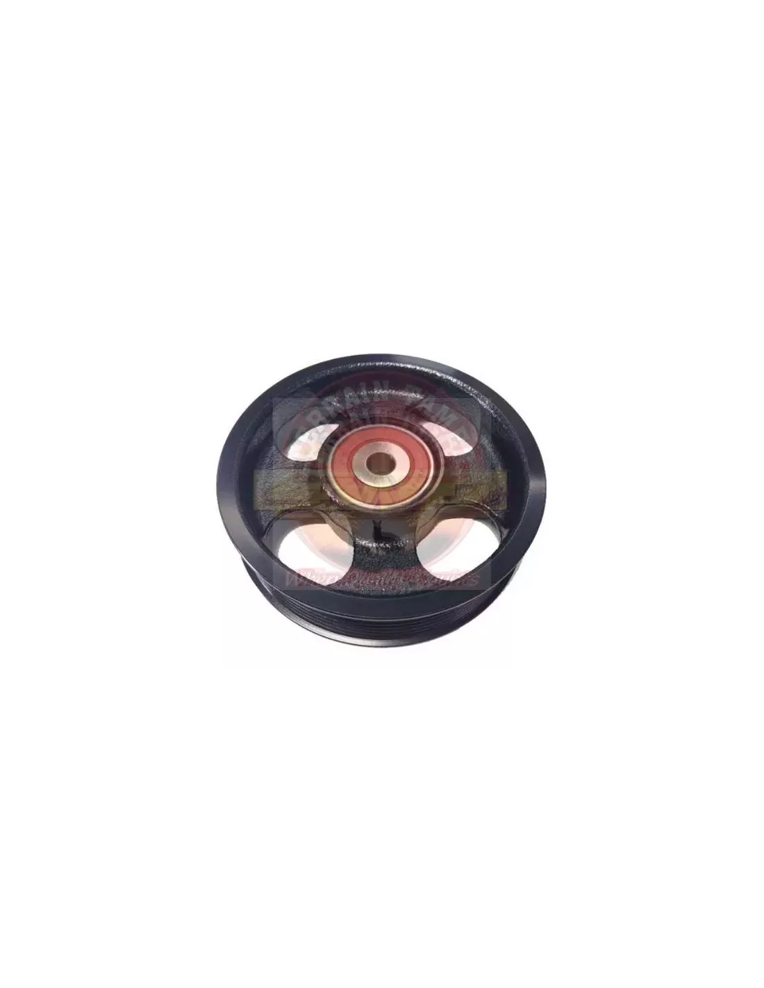 Galet tendeur Terrain Tamer 16603-28020