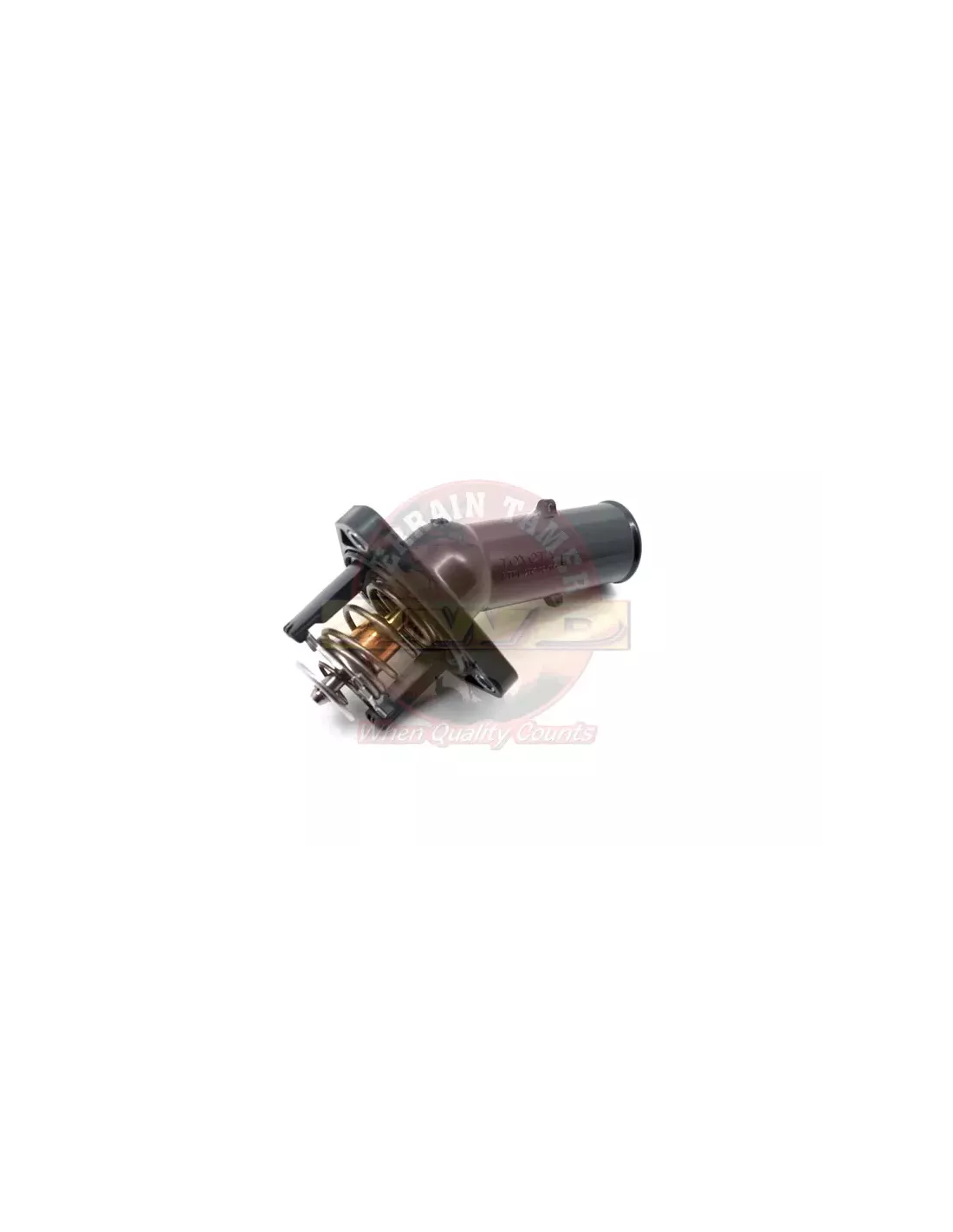 Thermostat et conduit d'eau Terrain Tamer 16031-31011