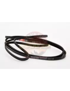 Kit courroie ventilateur Terrain Tamer HDJ100 visqueuse