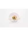 Bouchon carter 18mm tête épaisse Terrain Tamer