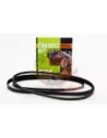 Kit courroies ventilateur & DA TB48E 4.8L essence Terrain Ta