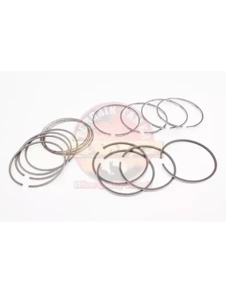 Segment de piston 1.00 3L japonais Terrain Tamer