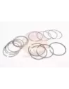 Segment de piston 1.00 3L japonais Terrain Tamer