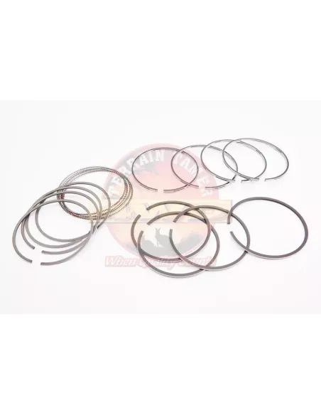 Segment de piston 1.00 3L japonais Terrain Tamer