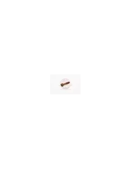Boulon cache différentiel Terrain Tamer 90105-12053