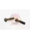 Boulon inférieur amortisseur avant Terrain Tamer 90105-16027