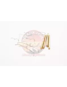 Kit goupilles et ressorts étrier avant Terrain Tamer 2