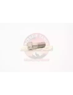 Boulon de cardan avant ou arrière Terrain Tamer 2