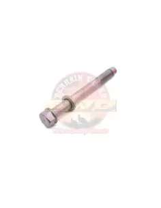Boulon réglage carrossage suspension avant Terrain Tamer