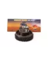 Pignon arbre principal 2ème vitesse Terrain Tamer