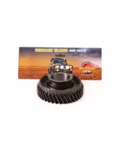 Pignon arbre principal 2ème vitesse Terrain Tamer 2