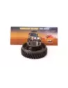 Pignon arbre principal 2ème vitesse Terrain Tamer