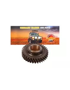 Engrenage sortie haute vitesse T 34 Terrain Tamer