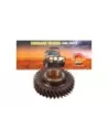Engrenage sortie haute vitesse T 34 Terrain Tamer
