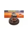 Engrenage sortie haute vitesse T 34 Terrain Tamer