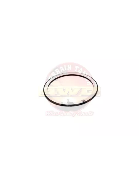 Rondelle d'appui palier latéral Terrain Tamer 90201-79008