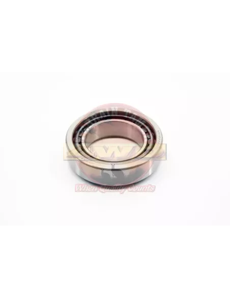 Roulement demi-axe de différentiel Terrain Tamer 90366-50001