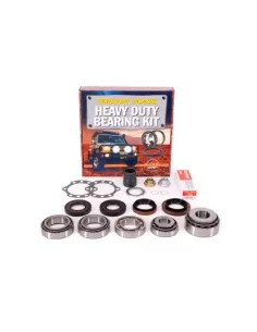 Kit révision différentiel Terrain Tamer DK11HP avec roulemen