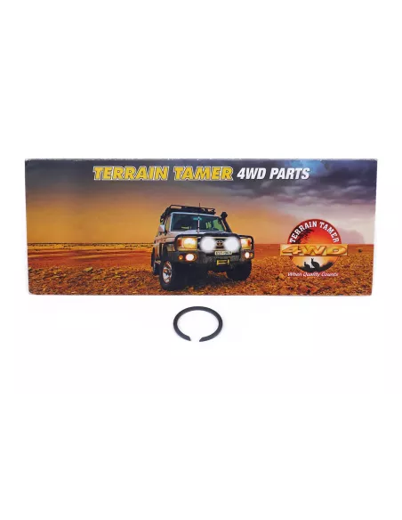 Circlip intérieur arbre de transmission Terrain Tamer 43425-