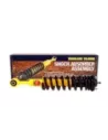 Amortisseurs combinés 40mm 100kg avec barre stabilisatrice T