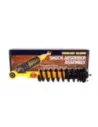 Amortisseurs combinés 40mm 100kg avec barre stabilisatrice T