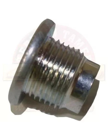 Bouchon remplissage différentiel Terrain Tamer 90341-18032
