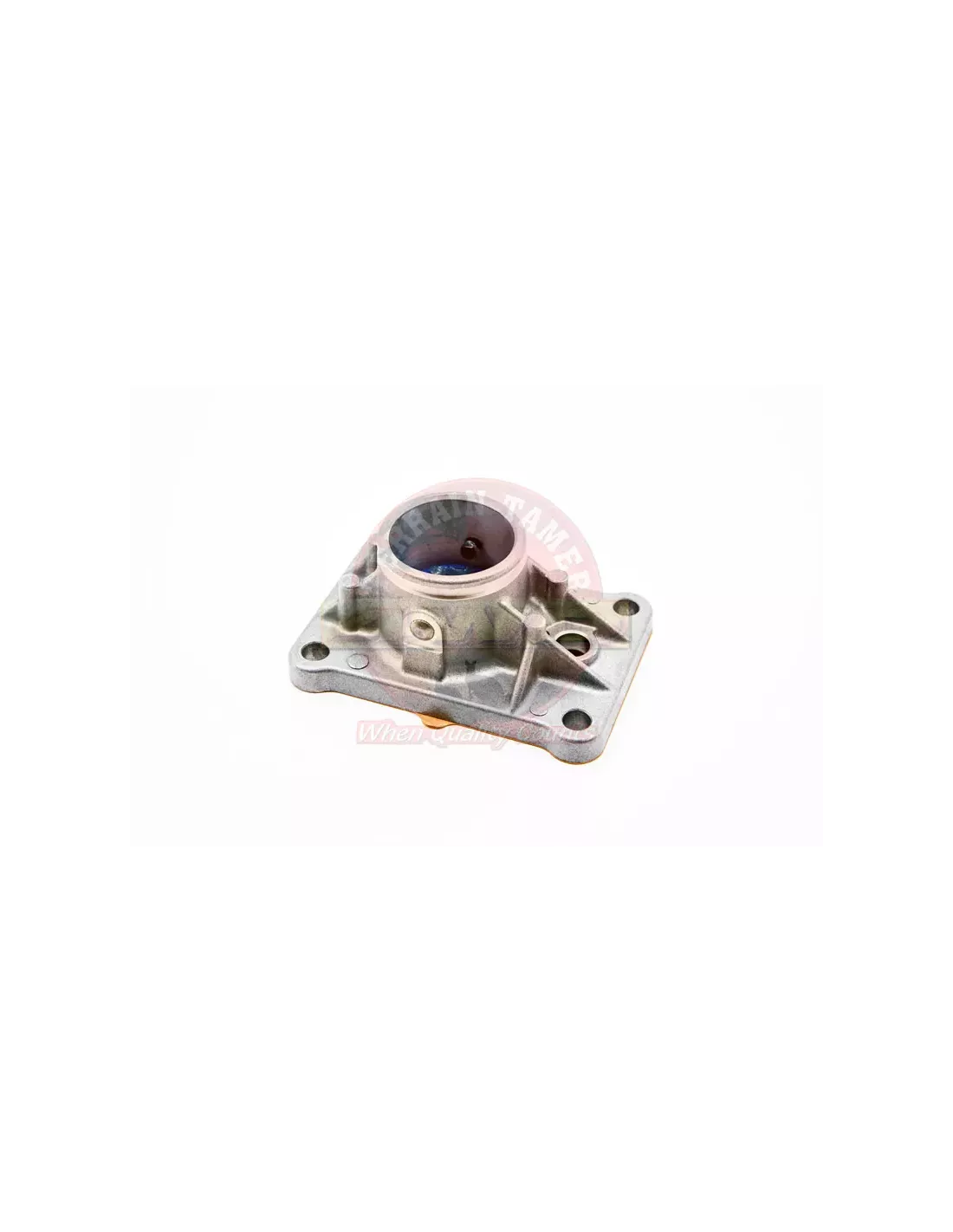 Capot levier de vitesse Terrain Tamer 33506-60030