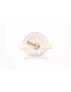 Boulon de tuyau d'échappement Terrain Tamer 90105-T0095