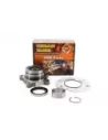 Kit roulement roue arrière droit sans ABS Terrain Tamer