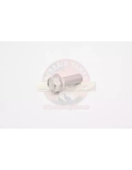 Boulon de support de différentiel avant Terrain Tamer