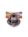 Kit moyeu et roulement Terrain Tamer 43550-60050