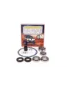 Kit révision différentiel LSD Terrain Tamer DKHL16SHP
