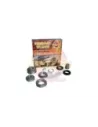 Kit de révision différentiel Terrain Tamer LSD DKHL20