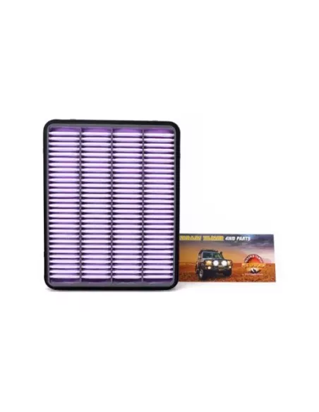Filtre à air Terrain Tamer 17801-52021