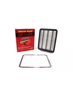 Kit insert filtre à air Terrain Tamer 2