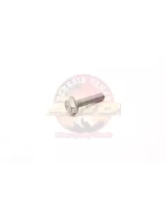 Boulon cache-culbuteur Terrain Tamer 91513-J0628 2