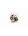 Thermostat 2UZFE Terrain Tamer