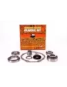 Kit réparation pont pour blocage différentiel d'origine Terr